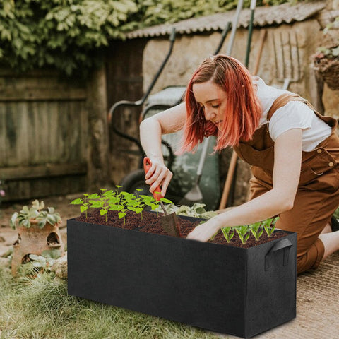 CIEOVO dimensions 34.8 by 11.6 by 11.6 inches for compact spaces.