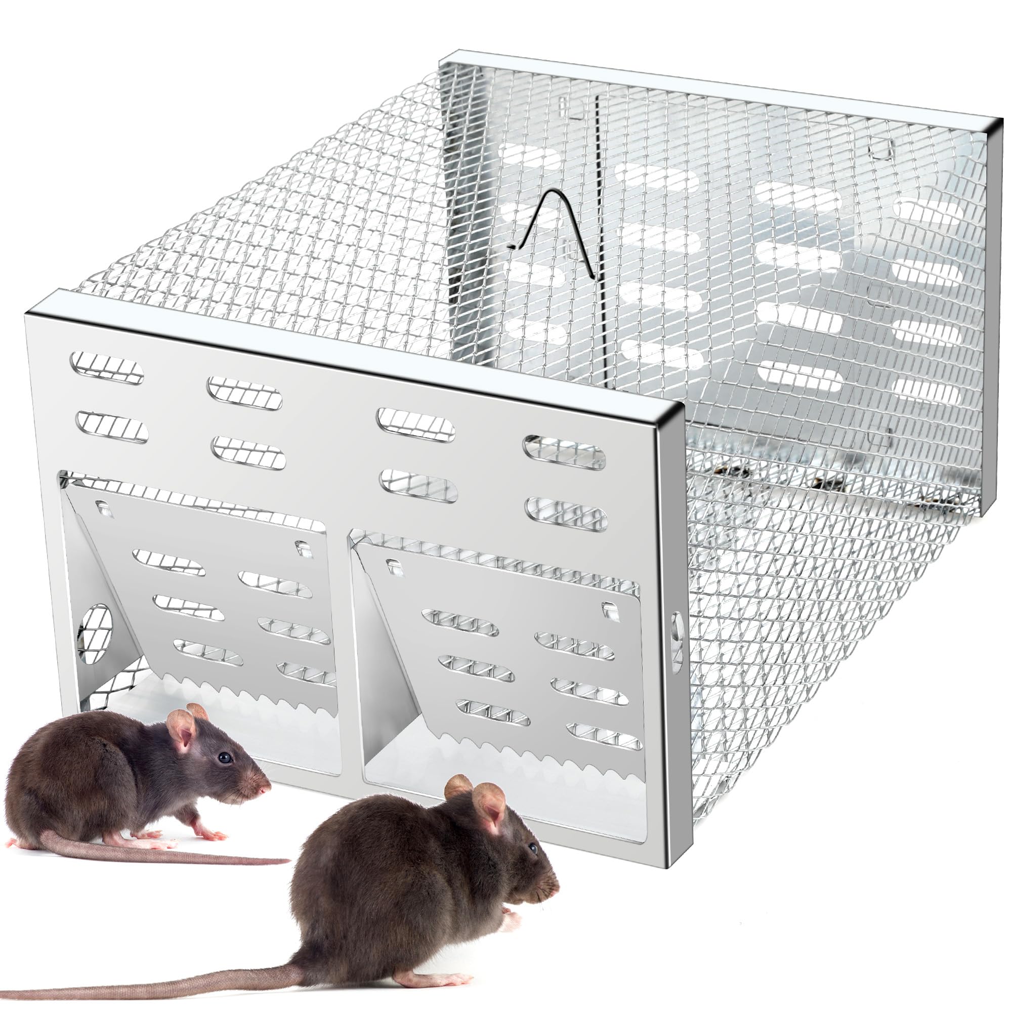 Cijoaui humane multi-catch trap with dual-entry doors for safe, repeated captures.