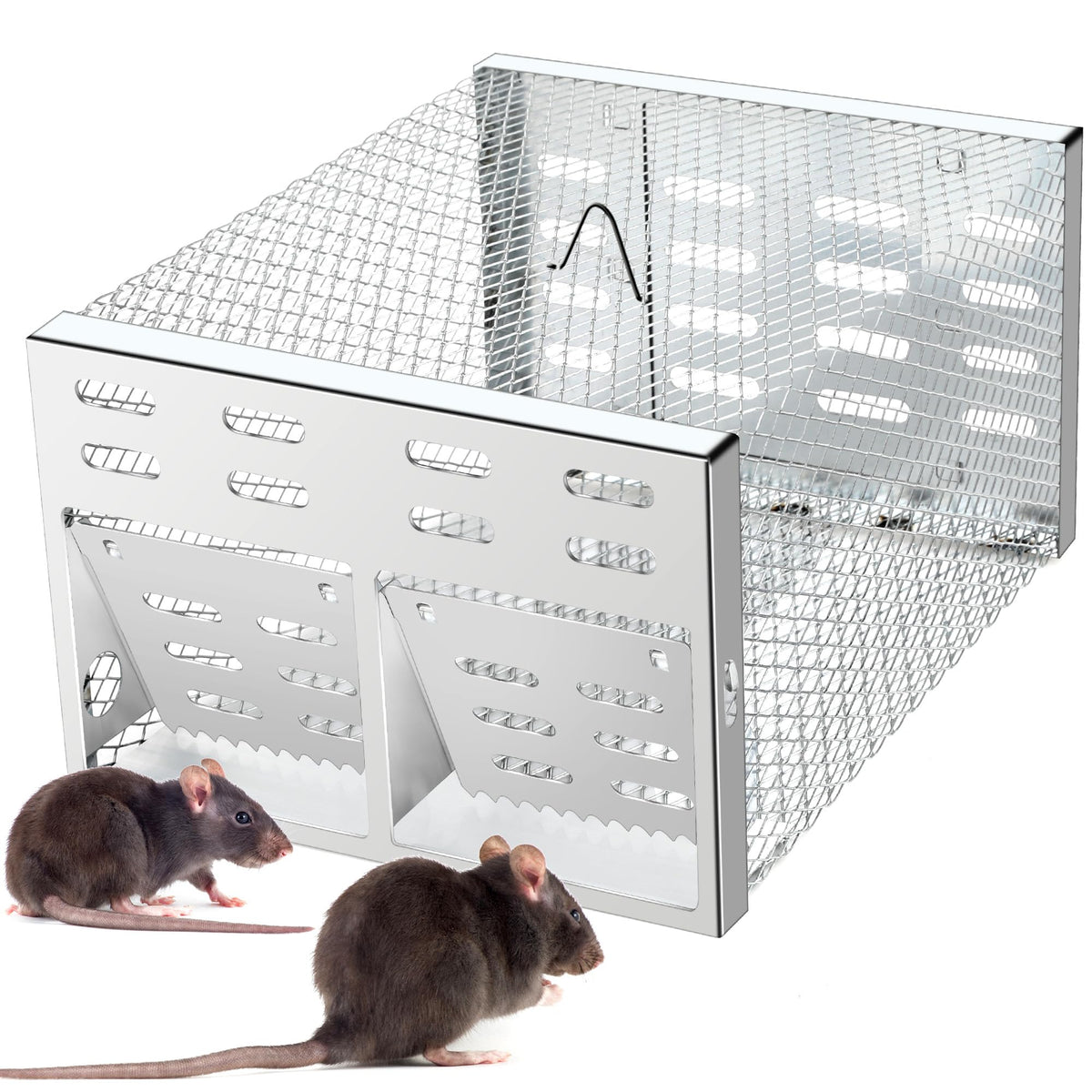 Cijoaui humane multi-catch trap with dual-entry doors for safe, repeated captures.