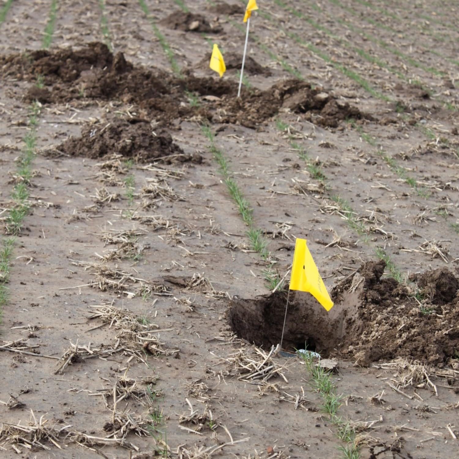 Cinch Gopher Trap Kit's compact size delivers strong performance in small spaces.