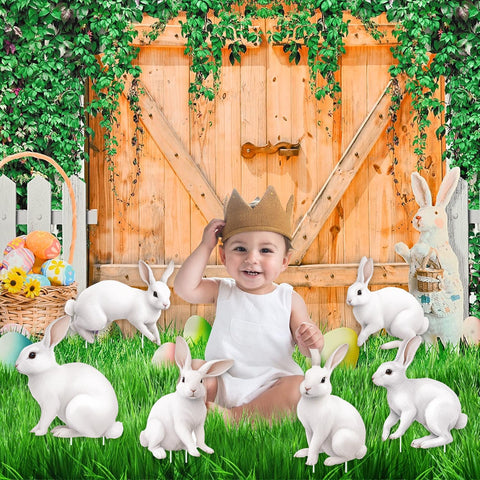CiniQy Easter party yard decor for gardens and walls.