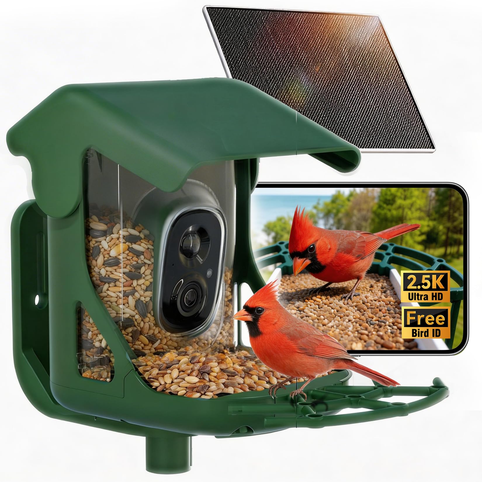 CINMOORE solar bird feeder with 4MP camera, front view, ideal for easy backyard monitoring.