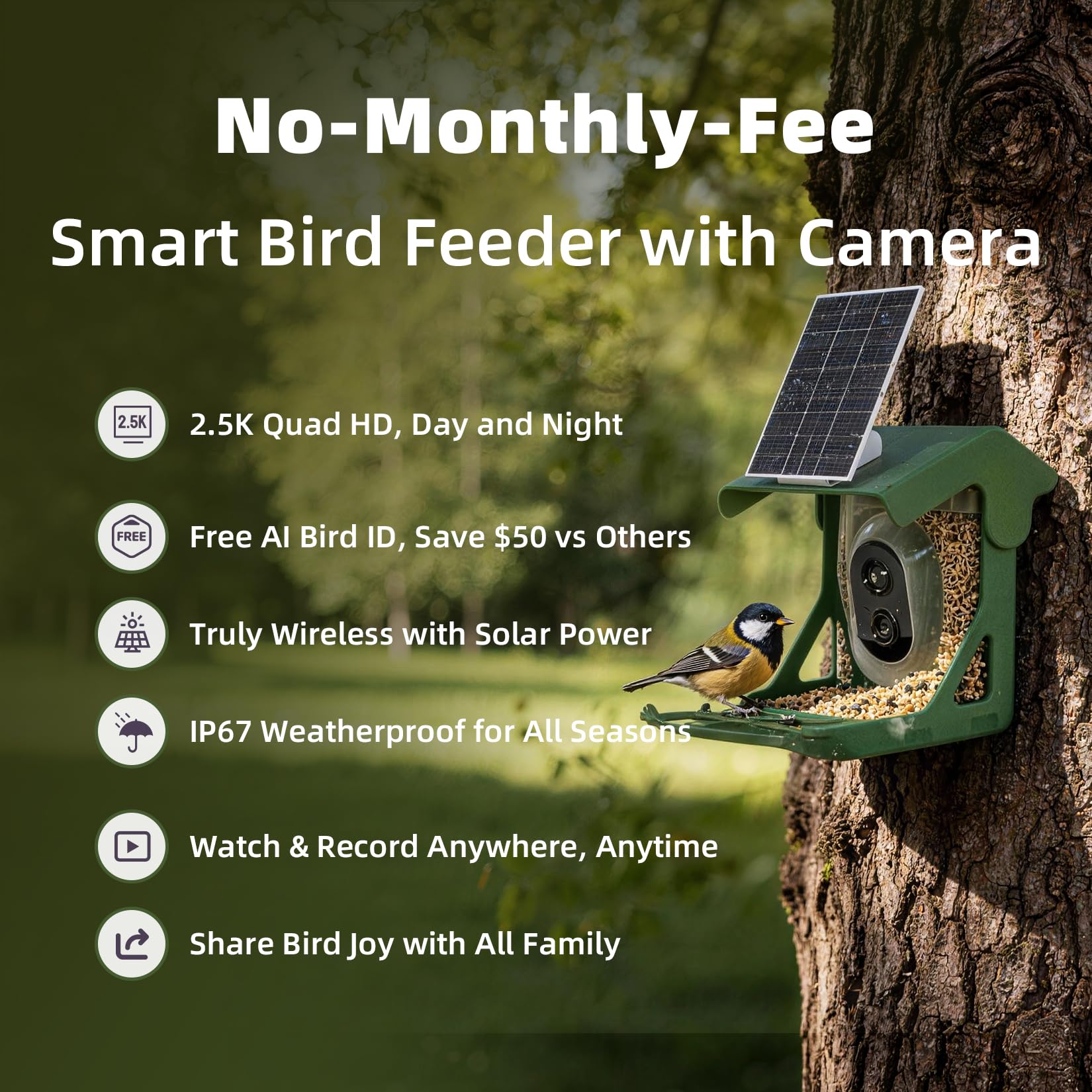 CINMOORE 4MP camera captures hummingbird details, offering crisp feathers and precise beak views.
