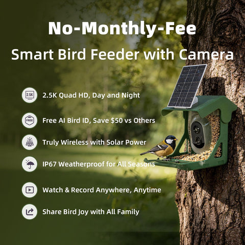 CINMOORE 4MP camera captures hummingbird details, offering crisp feathers and precise beak views.