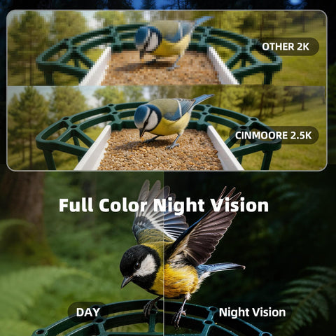 CINMOORE cloud storage option preserves a month of birdwatching moments.