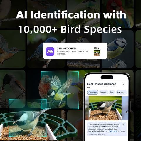 CINMOORE IP67 waterproof design endures weather, enabling year-round birdwatching.