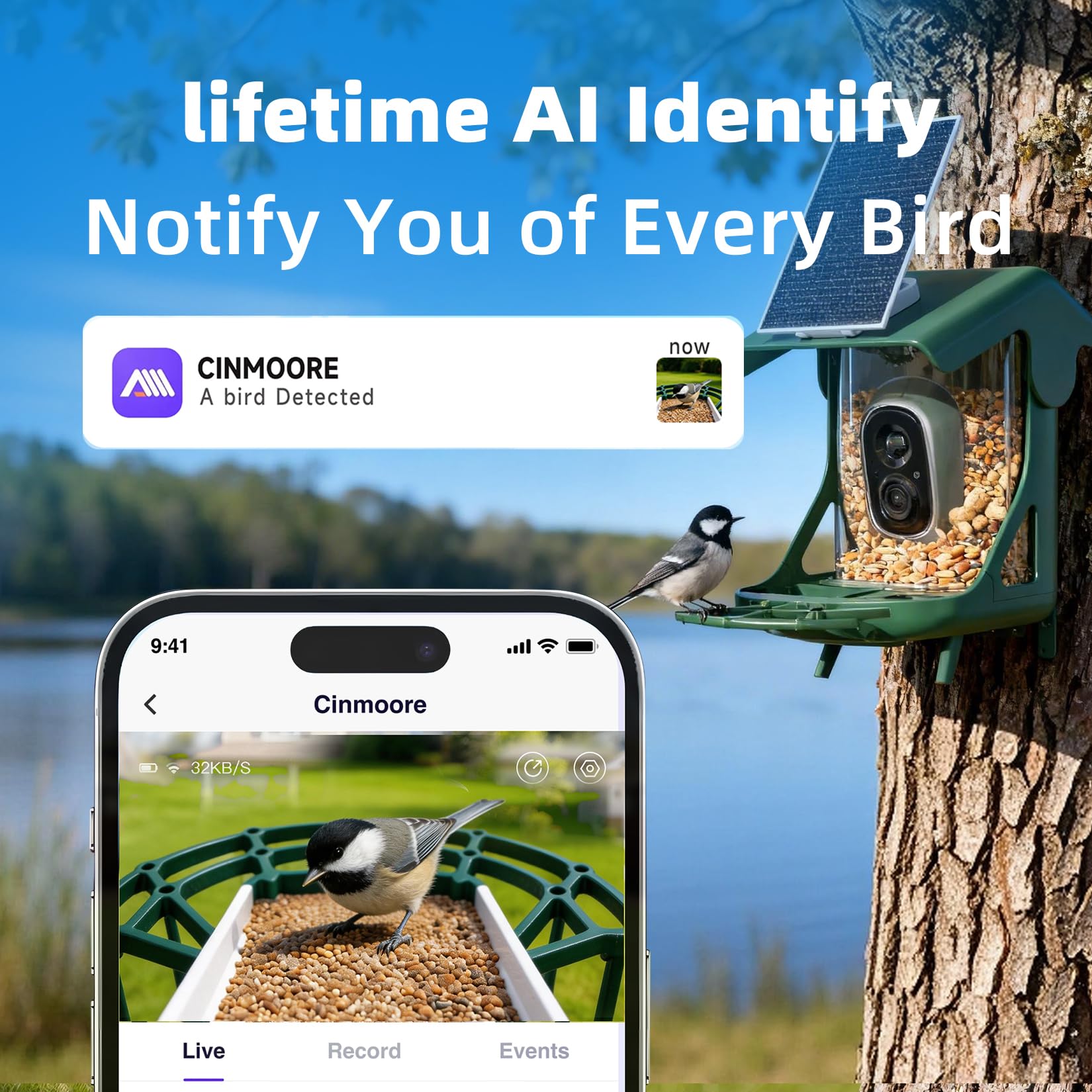 CINMOORE solar panel setup powers the feeder, no outlets needed for easy placement.