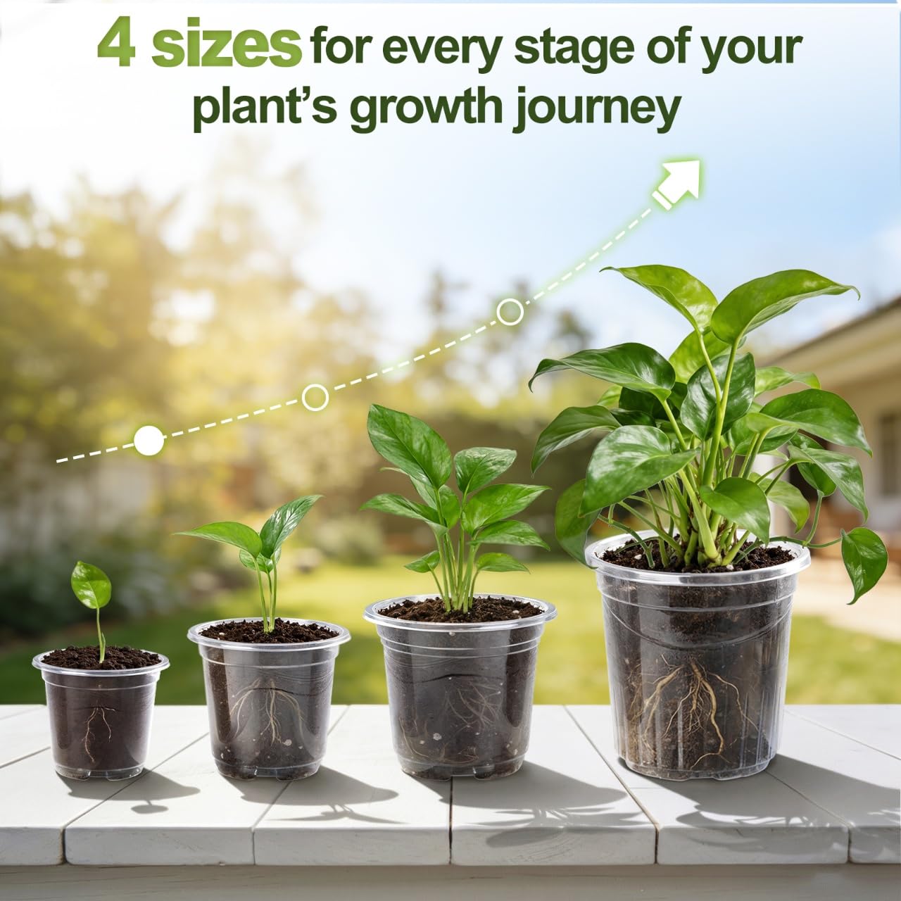 CINKSY clear nursery pot 5-inch with drainage holes for thriving seedlings.
