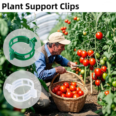 CIQIYO clip anchoring a plant in an indoor pot.