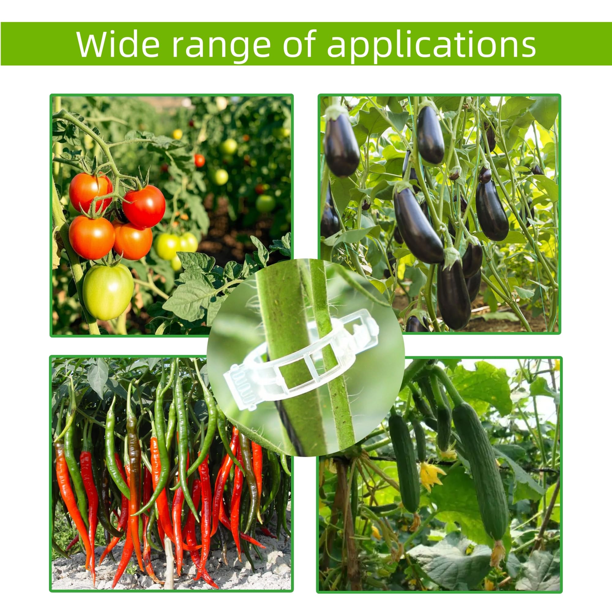CIQIYO cucumber-stem-clip-white guides cucumber runners