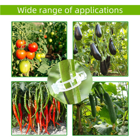 CIQIYO cucumber-stem-clip-white guides cucumber runners