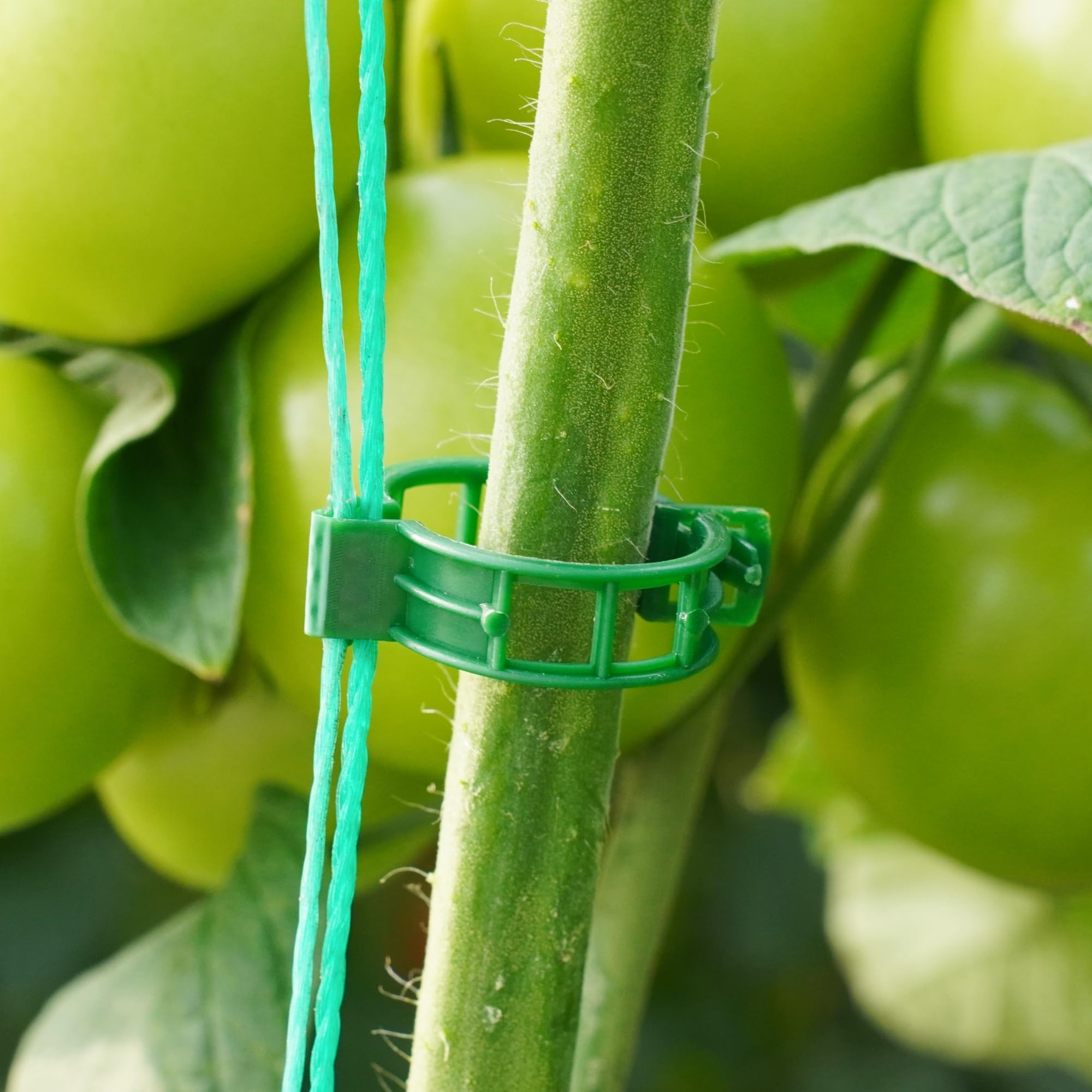 CIQIYO plant fixing clip enables tool-free installation