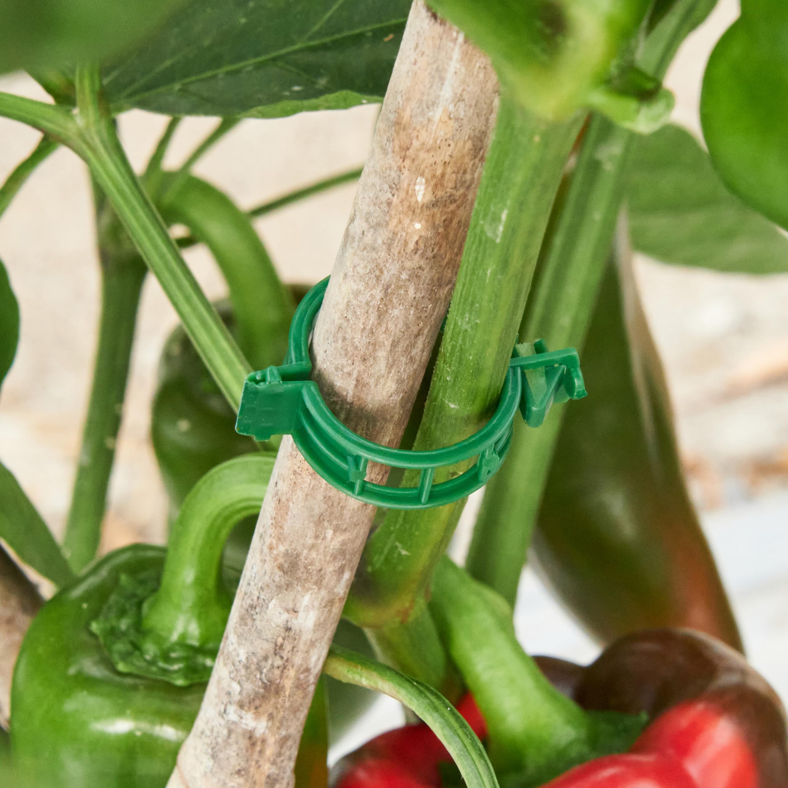 CIQIYO storage compact clip pack simplifies organization