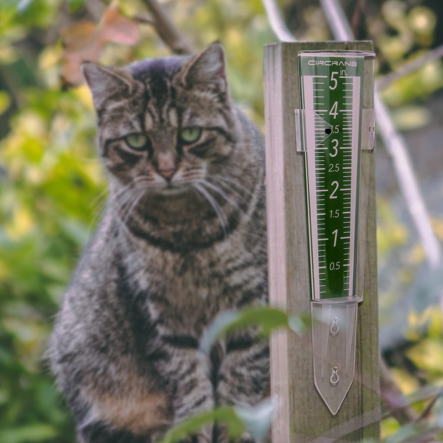 Circrane easy read rain measurement supports daily irrigation planning.