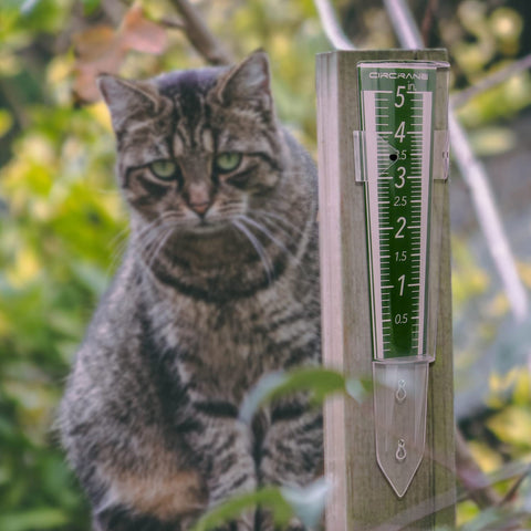 Circrane easy read rain measurement supports daily irrigation planning.