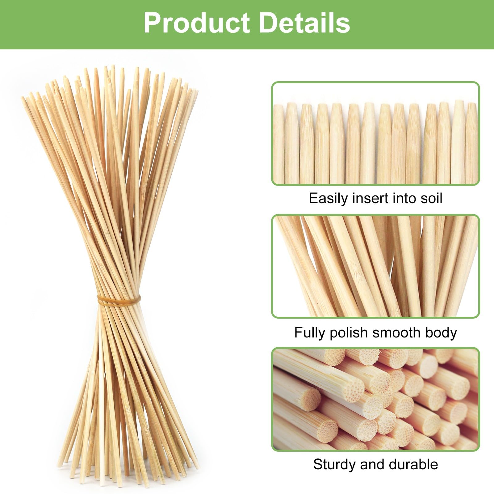 CJFocus craft sticks for DIY projects and edible skewers