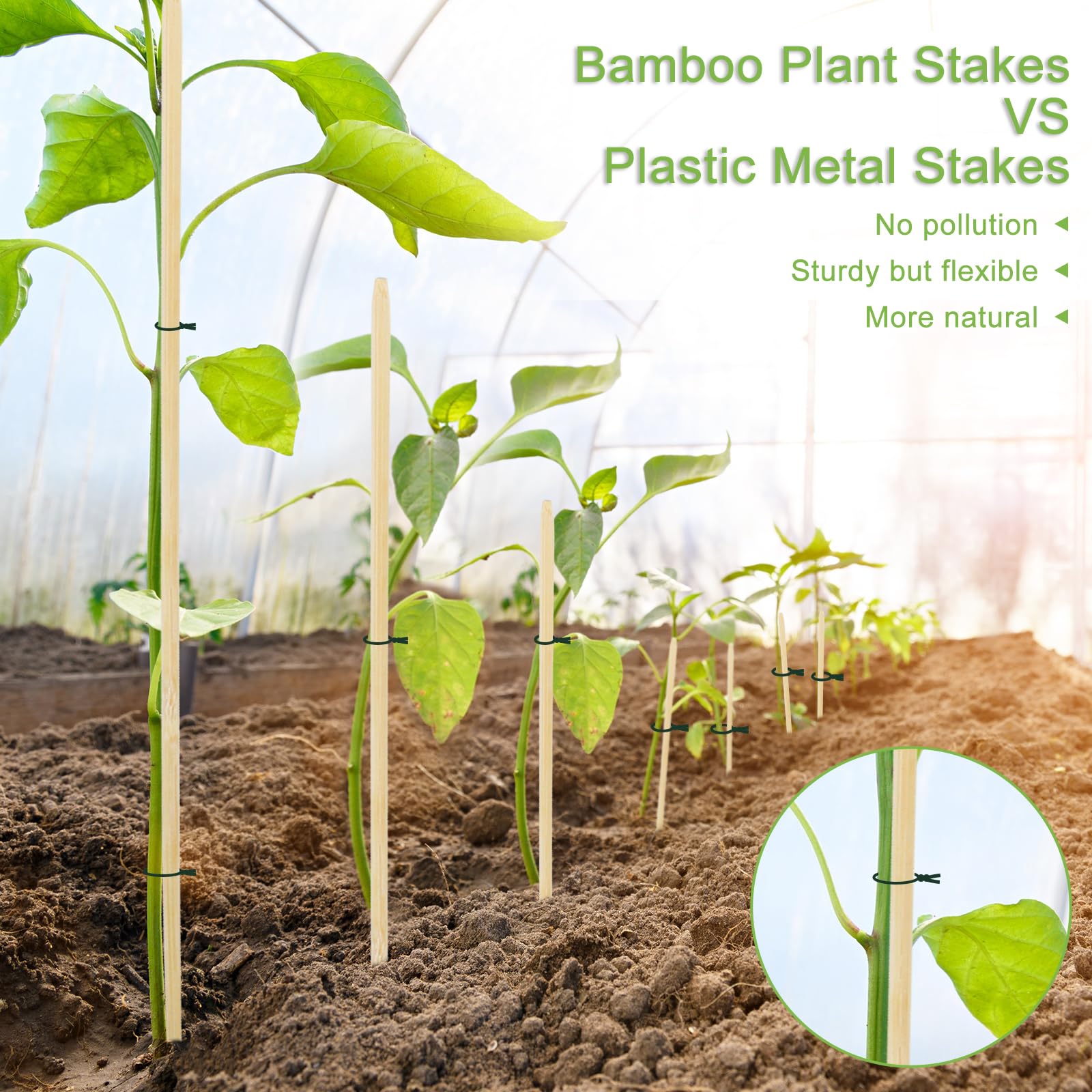 Close-up of smooth CJFocus bamboo showing burr-free tips for easy insertion