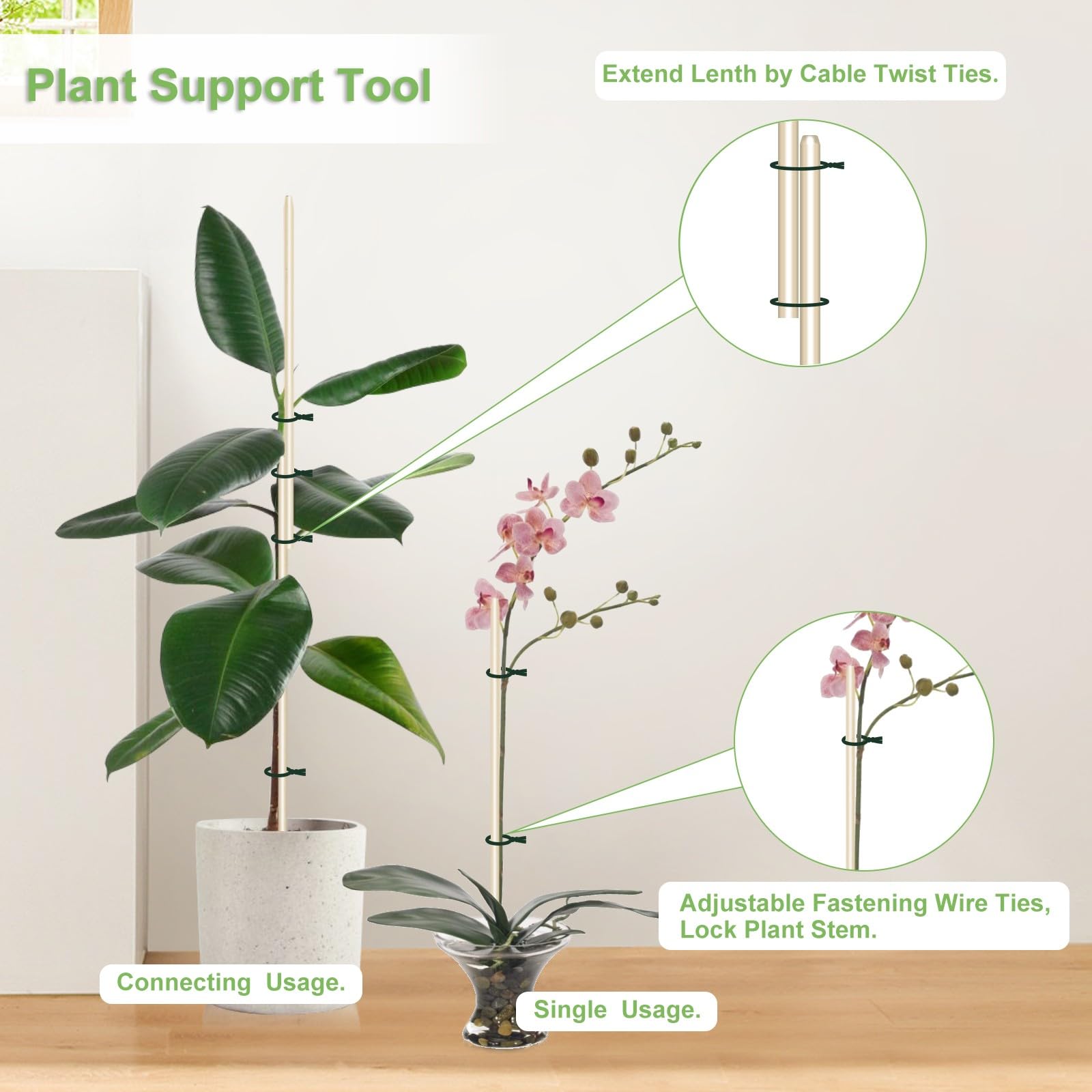 Indoor garden setup with CJFocus stakes supporting flowering stems