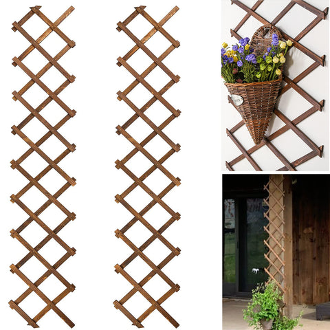 CJGQ 2-pack expandable lattice wall trellis for vertical outdoor plant growth.