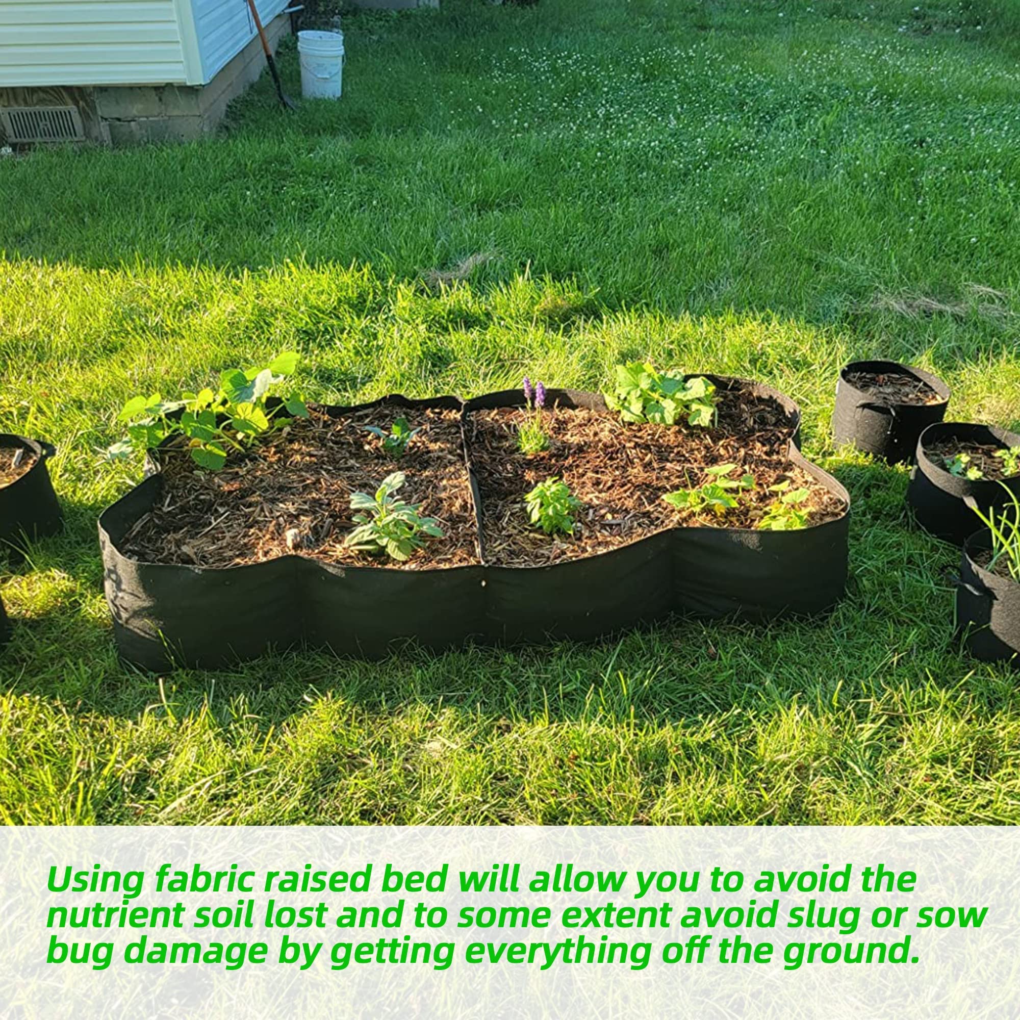 CJGQ 360 degree ventilation supports root health and drainage
