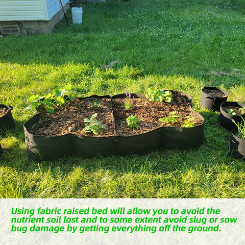 CJGQ 360 degree ventilation supports root health and drainage