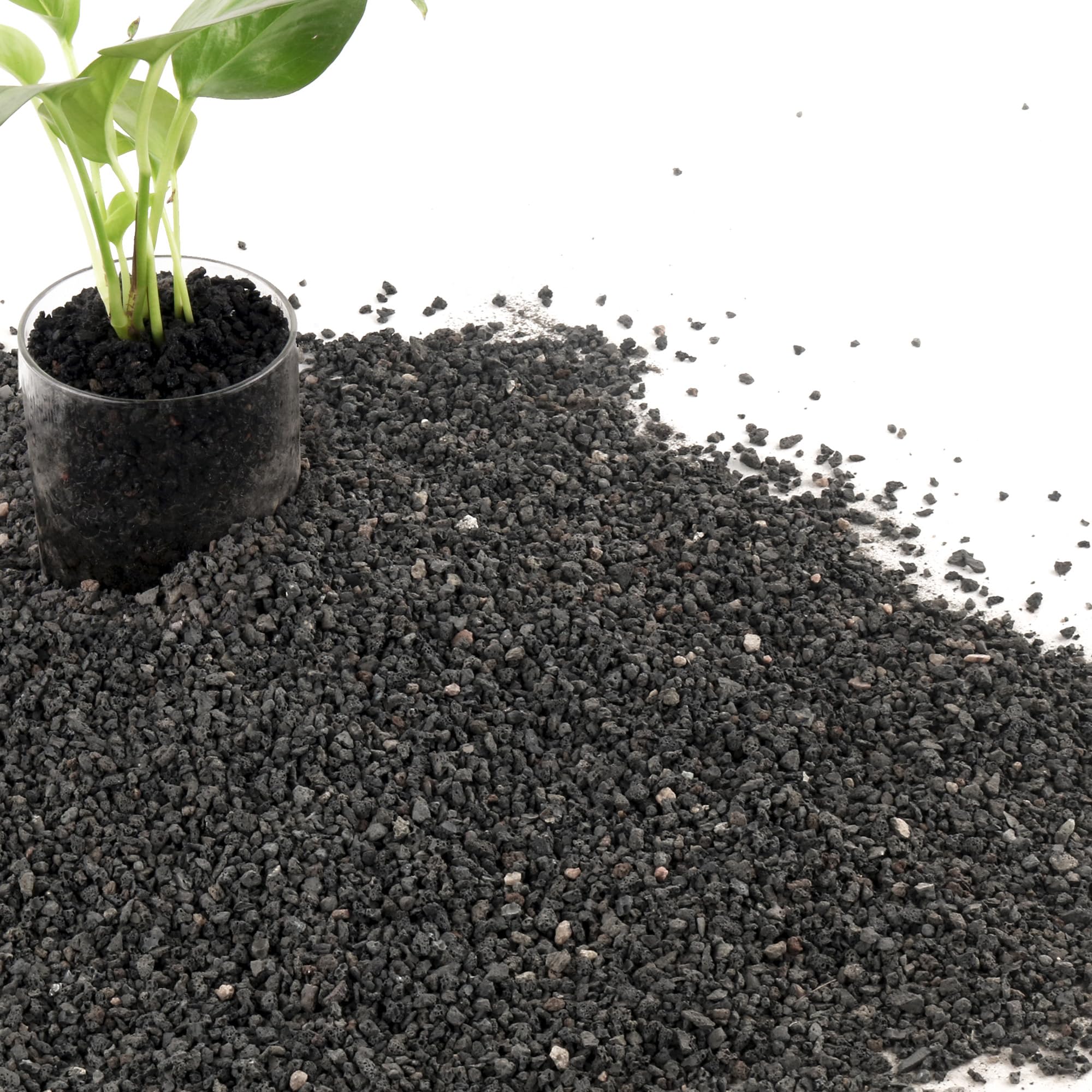 CJGQ 7LB lava rocks for plants showcase porous texture aiding drainage and moisture balance.