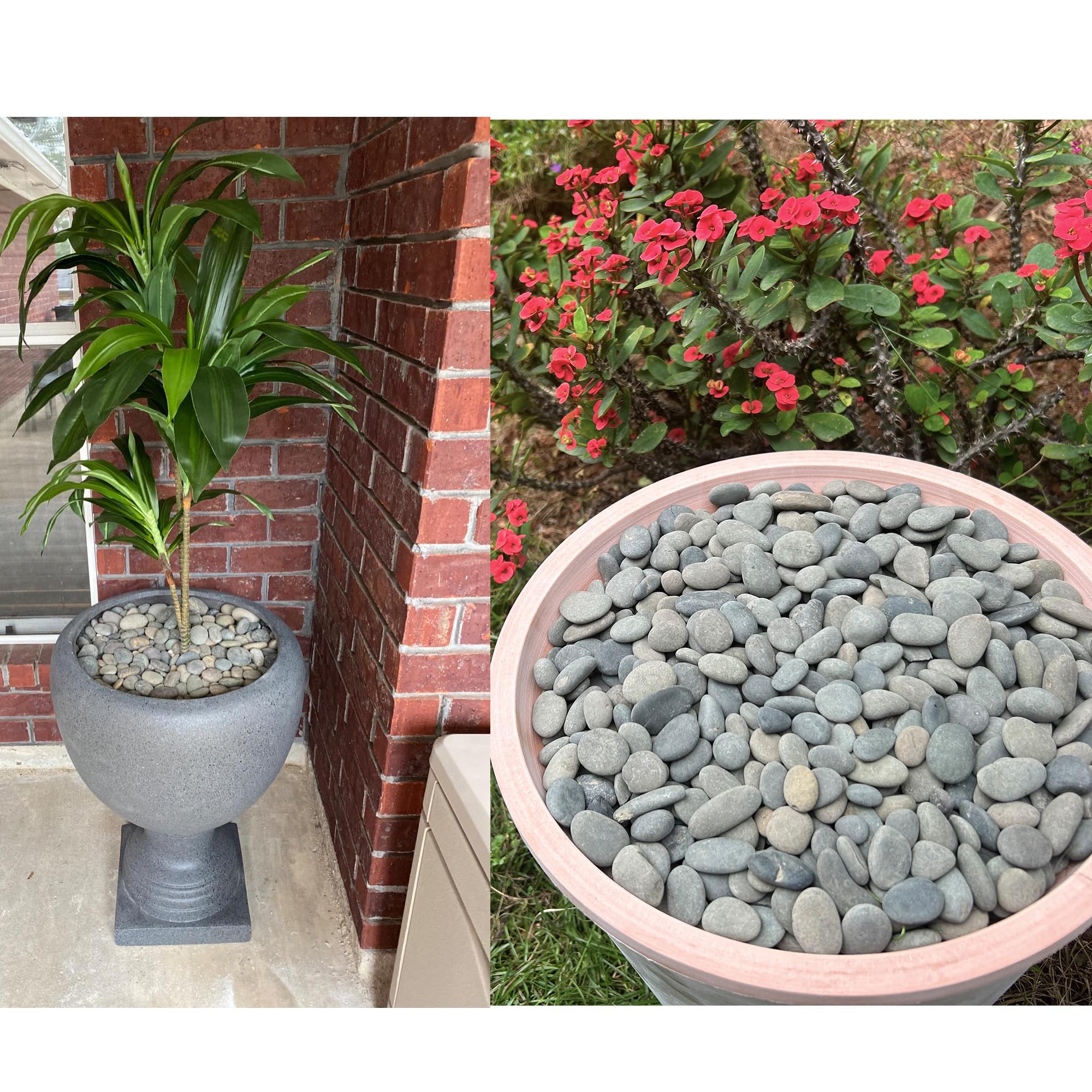 CJGQ river rocks offer eco-friendly decor that lasts without deteriorating like mulch.