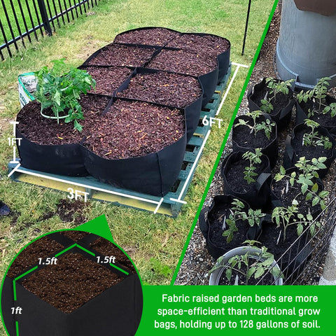 CJGQ eight-compartment design shows organized plots for different herbs and flowers