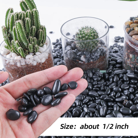 CJGQ black pebbles in pot for natural mulch and soil protection.