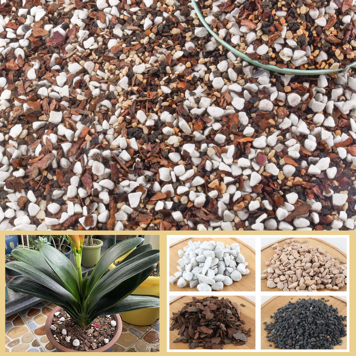 CJGQ Bonsai soil lava rock for balanced drainage and soil structure.