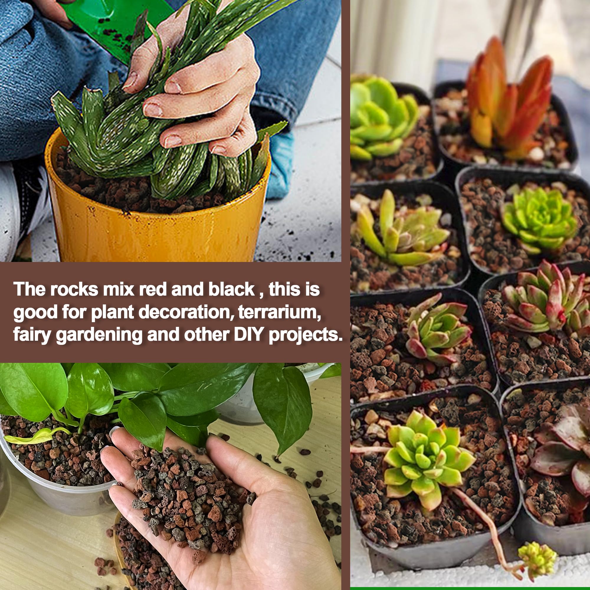 CJGQ bottom drainage layer lava rocks improves root health