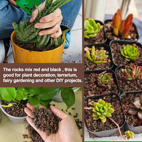 CJGQ bottom drainage layer lava rocks improves root health