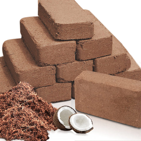 CJGQ Coco Coir Brick 12-pack box, ideal for tidy storage and quick setup.