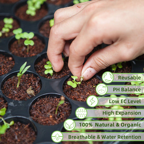 CJGQ Coco Coir Brick nutrient-retention supports balanced moisture for healthy roots.