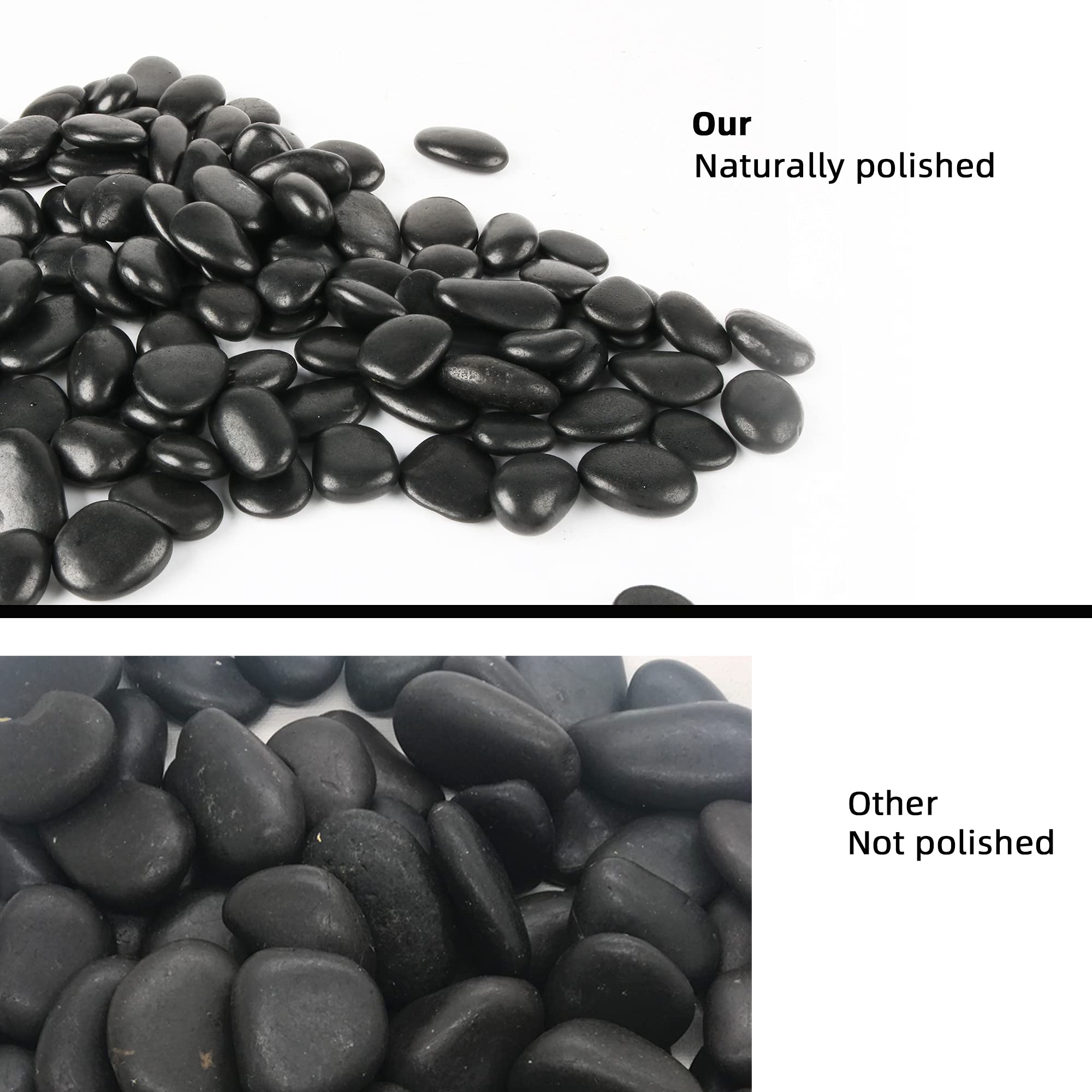 CJGQ decorative gravel for succulents, enhancing texture and contrast.