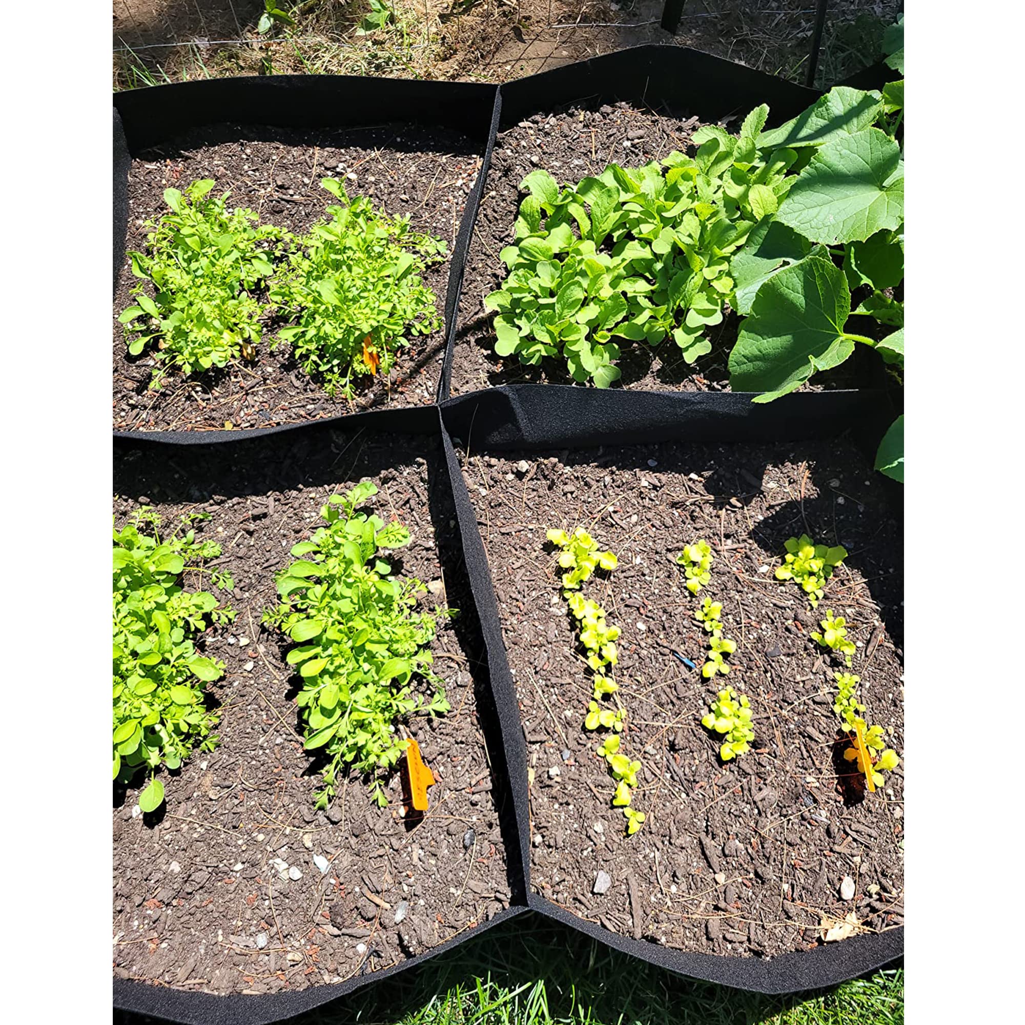 CJGQ fabric raised bed offers quick assembly for busy gardeners.