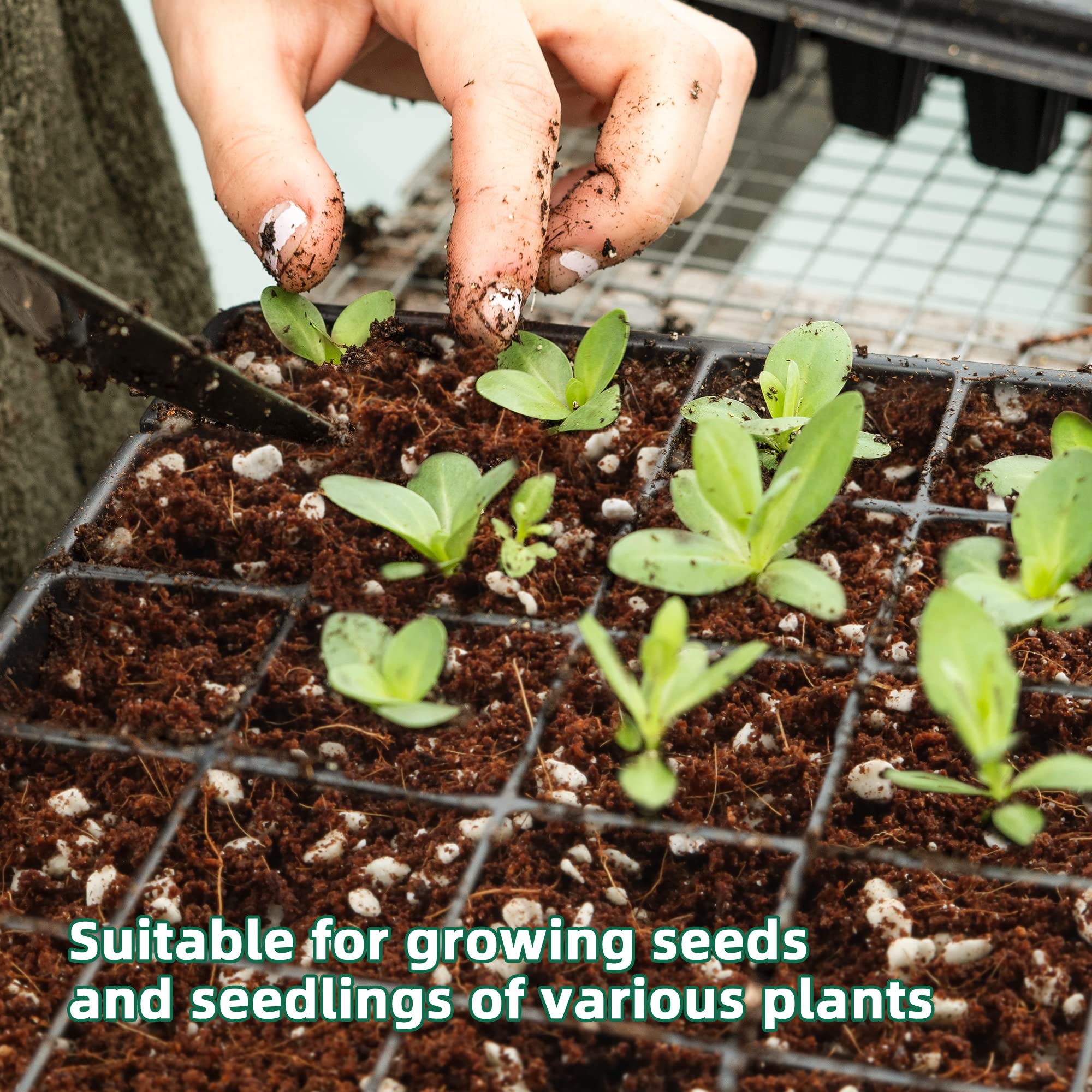 CJGQ lightweight sterile perlite keeps seed-starting and root zones airy