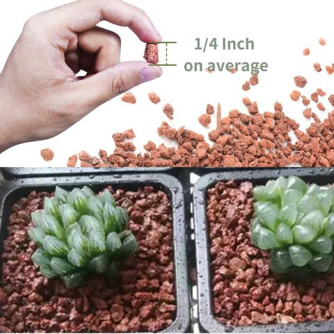 CJGQ lava rocks for succulents promote drainage and decorative top dressing.