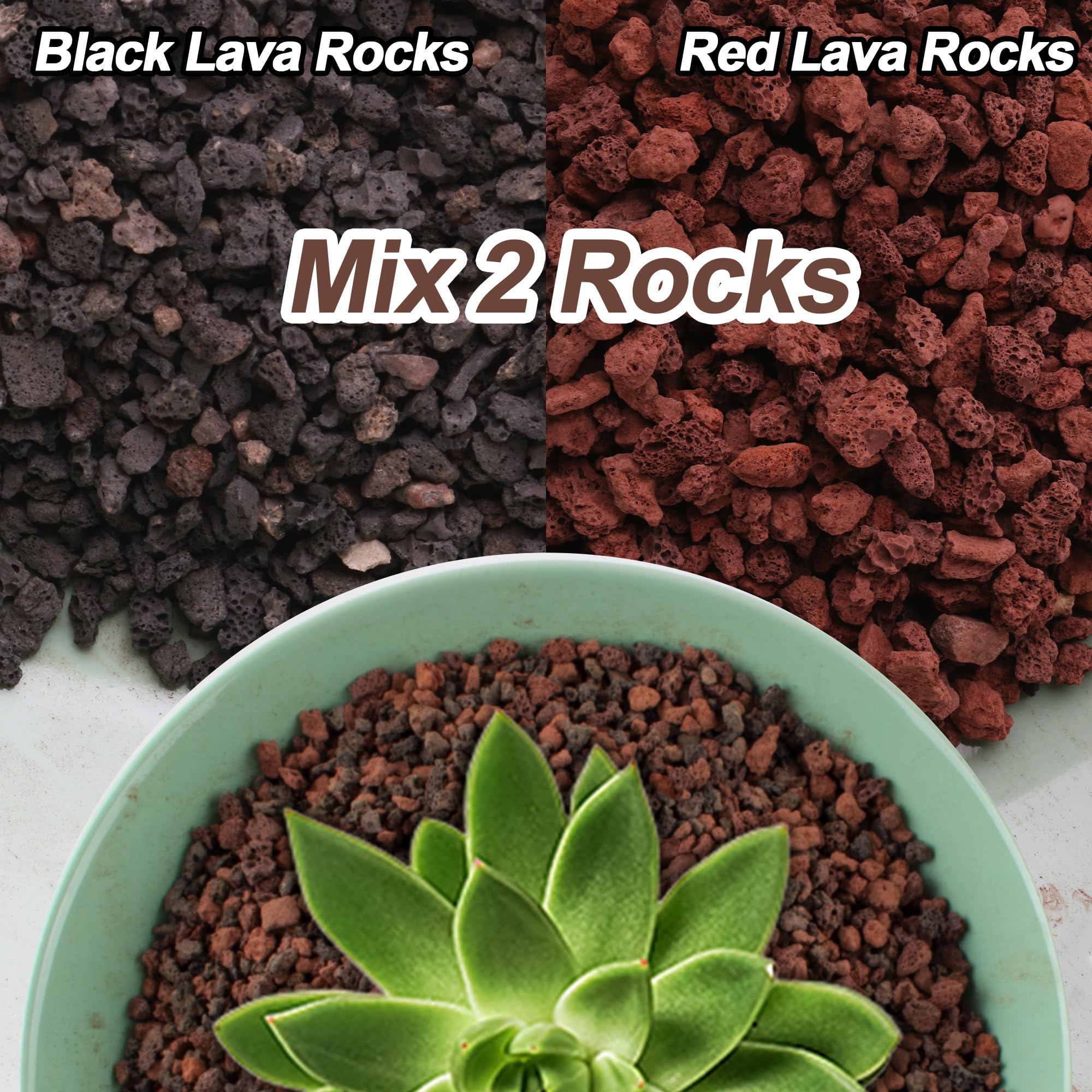CJGQ lava rocks porous surface for terrarium aeration