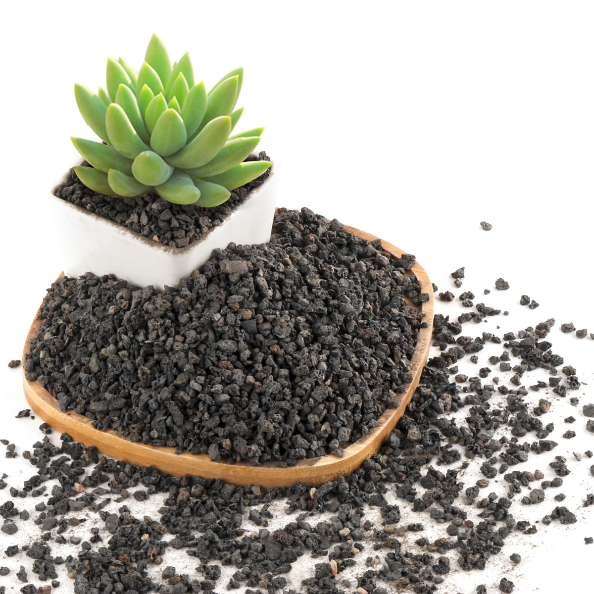 CJGQ lava rocks for succulents—improved drainage and airflow.