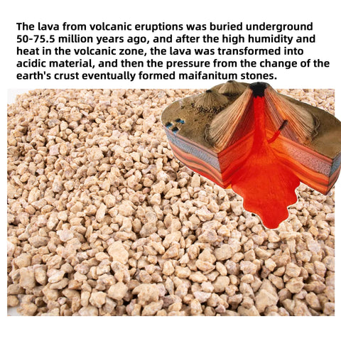 CJGQ Maifan stone for succulents; improves drainage and reduces overwatering risk.