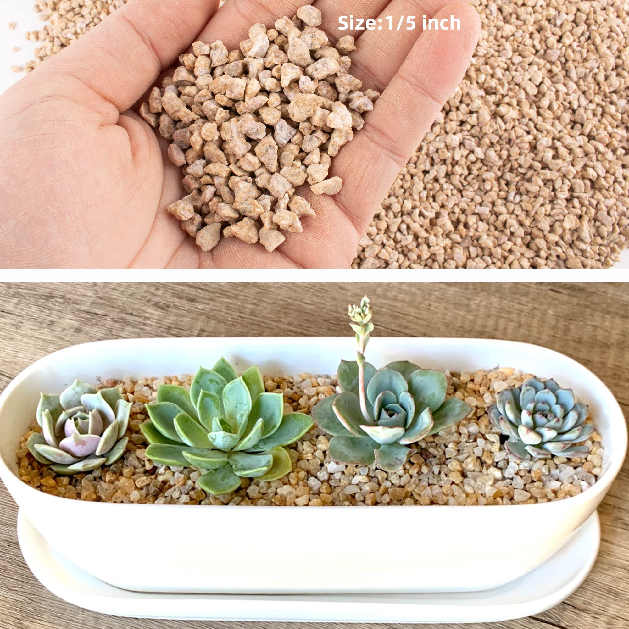 CJGQ Maifanitum stones in bonsai pots support healthy drainage