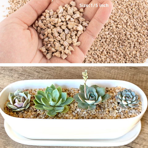 CJGQ Maifanitum stones in bonsai pots support healthy drainage