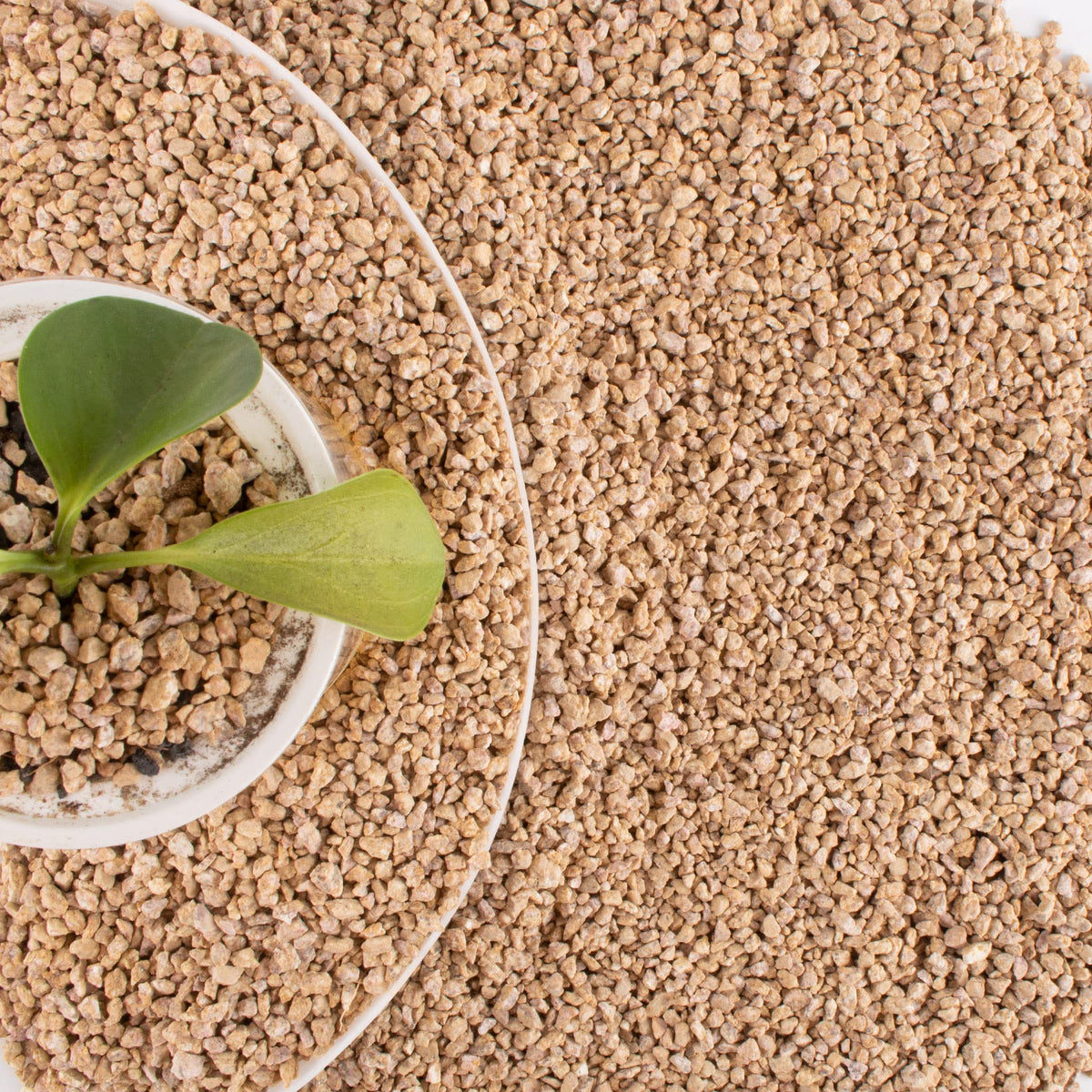 CJGQ Maifan stone rocks for succulents enhance drainage and soil balance.