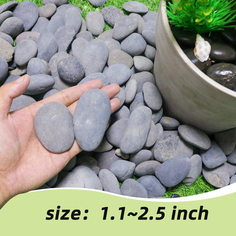 CJGQ Mexican beach pebbles smooth surface suited for terrariums and garden accents.