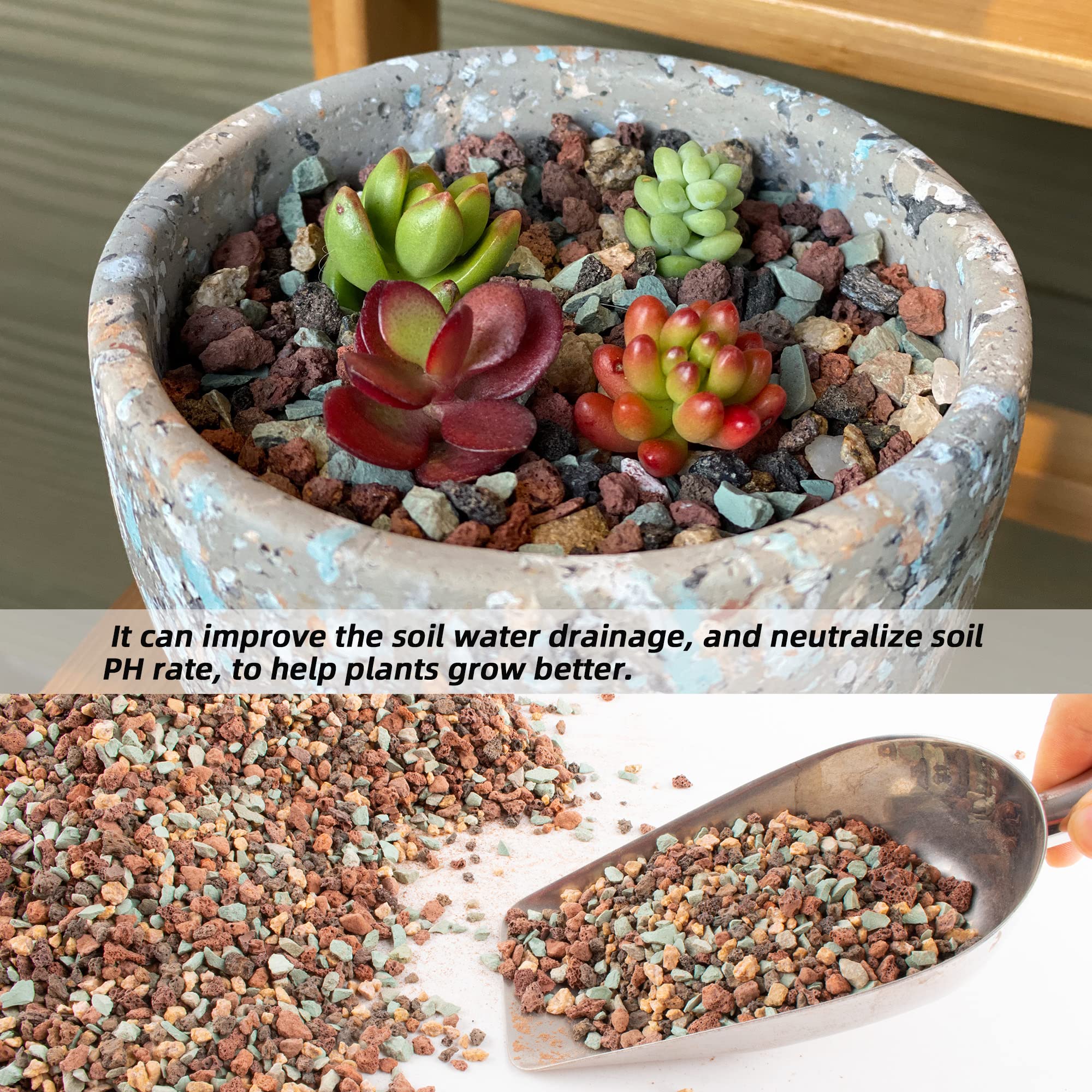 CJGQ multicolor rocks for terrarium decor add color and texture.