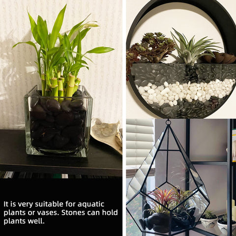 CJGQ non-toxic stones for terrariums, safe décor for habitats.