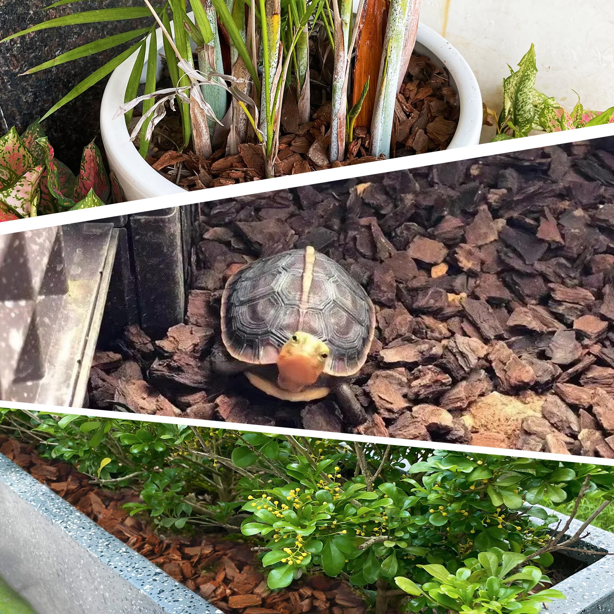 CJGQ orchid bark provides organic nutrients over time for plants.