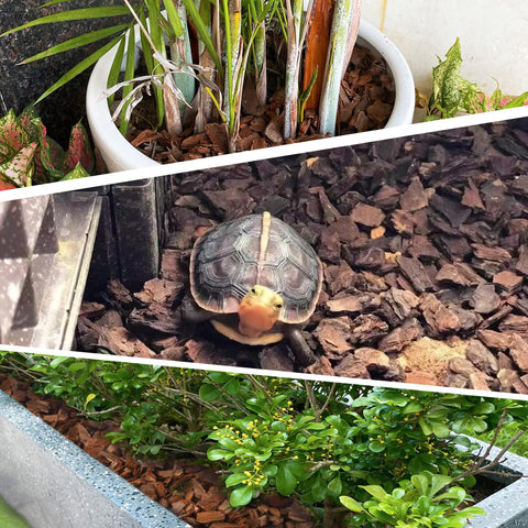 CJGQ orchid bark provides organic nutrients over time for plants.