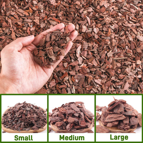 CJGQ orchid bark in a pot demonstrates mulch and moisture regulation